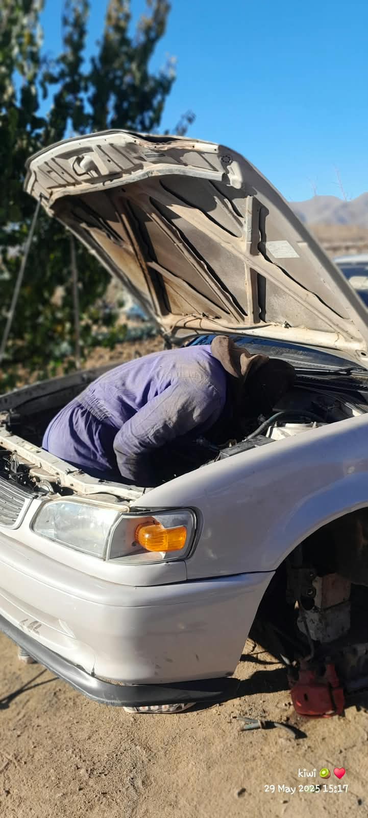 KIWI Auto Clinic  work 12